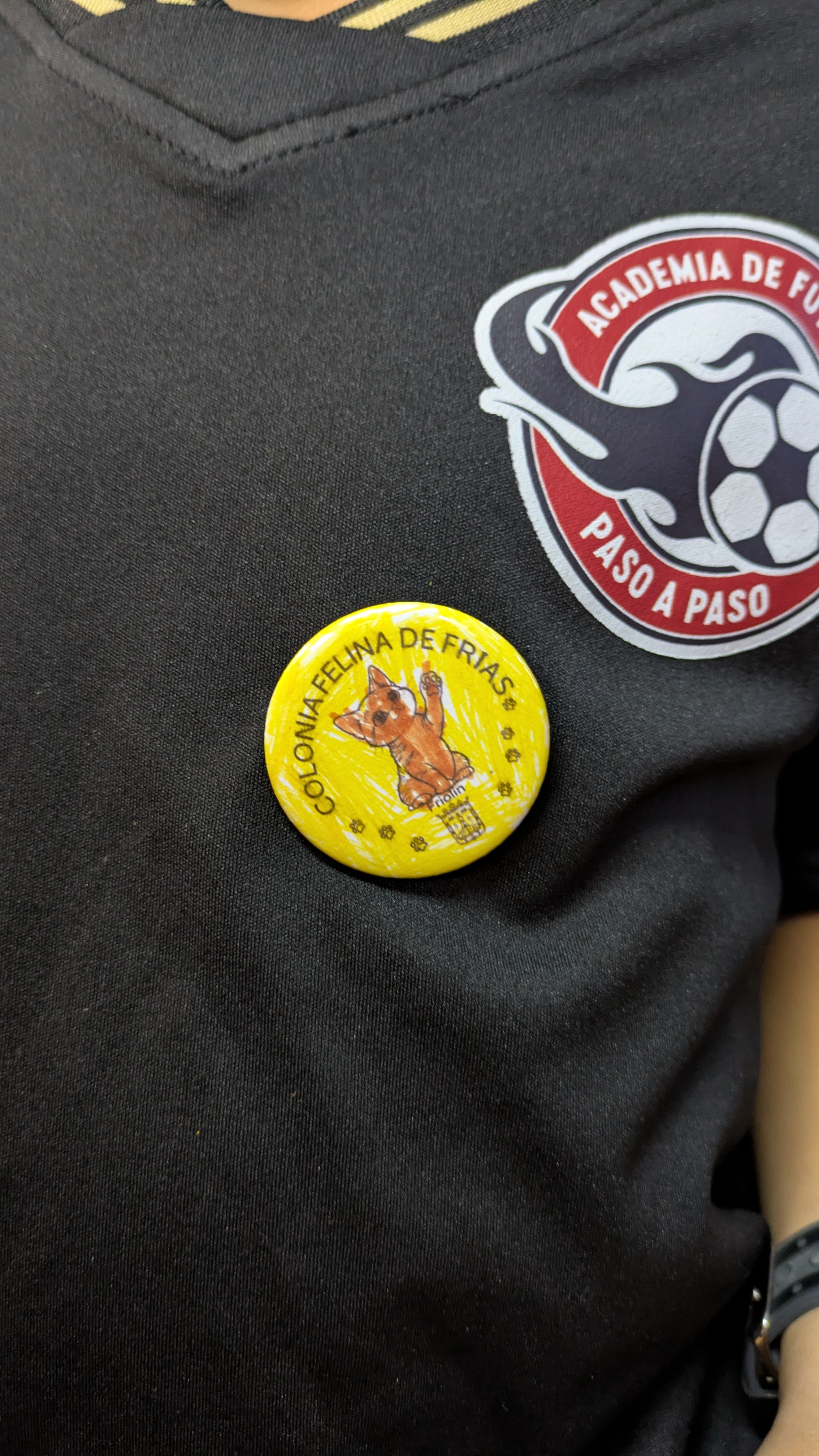 Taller chapas 3