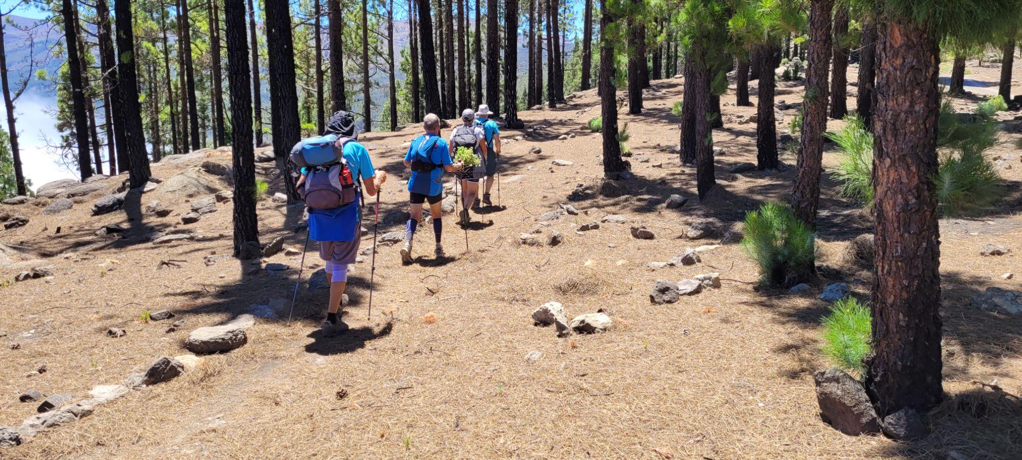 Asociación amigos de Frías en el Teide