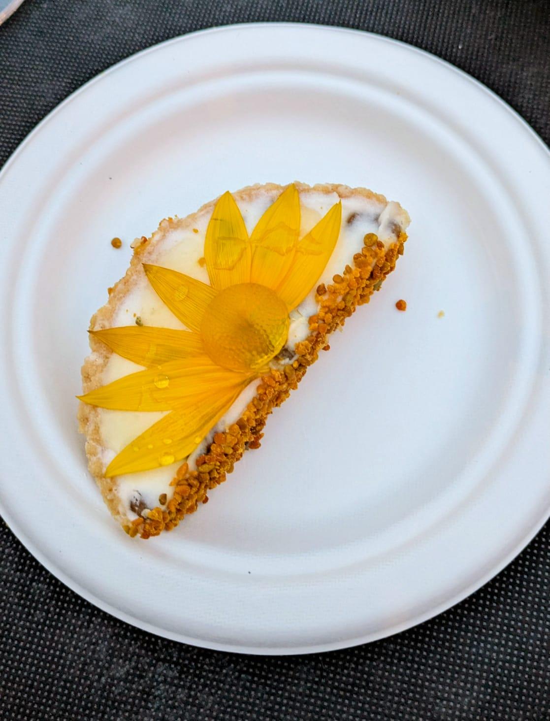 tapa
