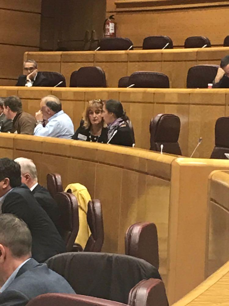 I Jornada de los Pueblos más Bonitos de España en el Senado