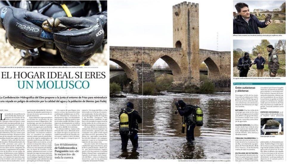 El hogar ideal si eres molusco