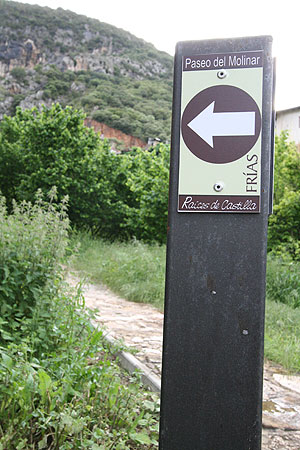 río molinar